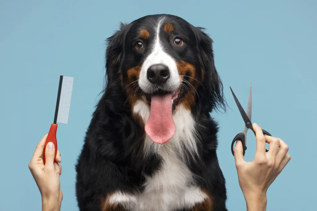 dog grooming at home using pet brush